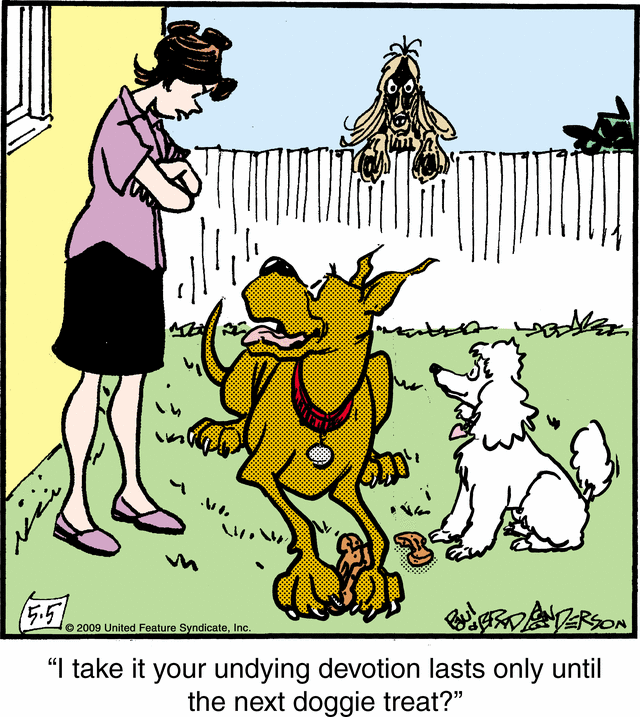 marmaduke